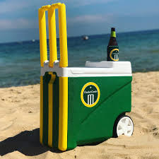 Cricket Cooler Net Worth
