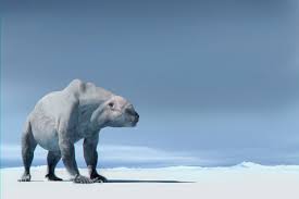 tuunbaq