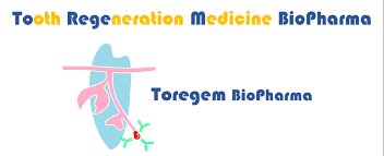 toregem biopharma