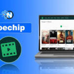Understanding the Zoe Chip